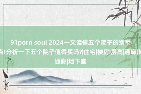 91porn soul 2024一文读懂五个院子的别墅优污点!分析一下五个院子值得买吗?|住宅|楼房|层高|通廊|地下室