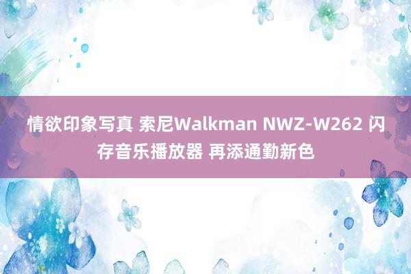 情欲印象写真 索尼Walkman NWZ-W262 闪存音乐播放器 再添通勤新色